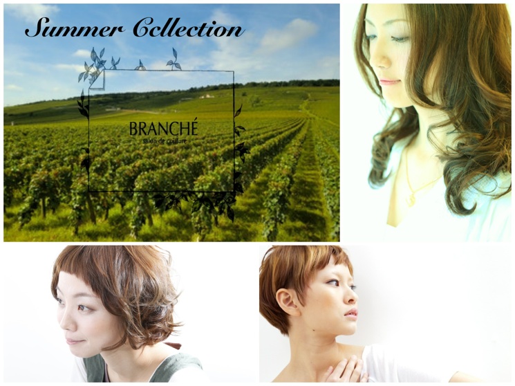 branche_summer