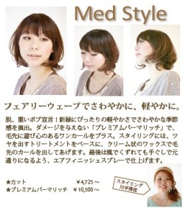 style_1